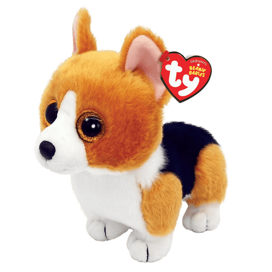 Colin Corgi Dog
